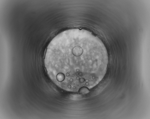 X0000115090220200911241220