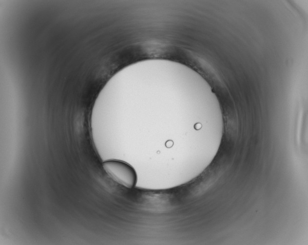 X0000115090221200911241220