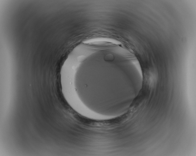 X0000115090223200911241220