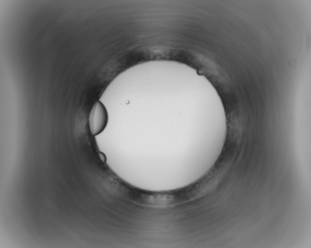 X0000115090225200911241220