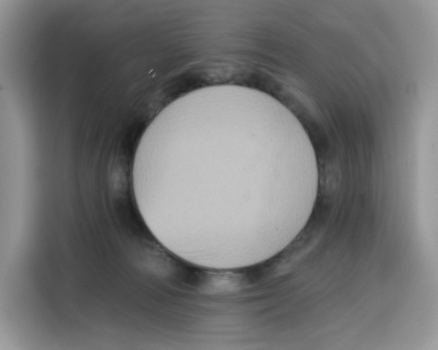 X0000115090226200911241220
