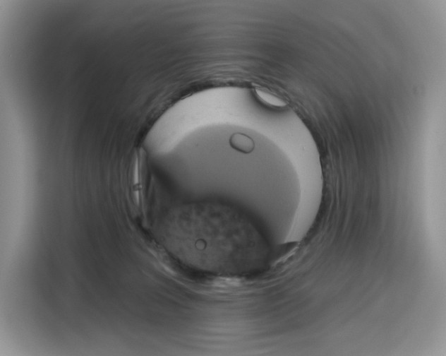 X0000115090227200911241220