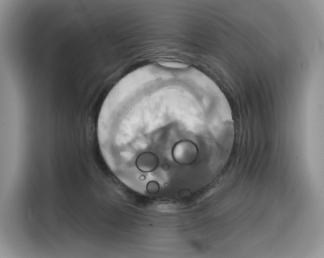 X0000115090228200911241220