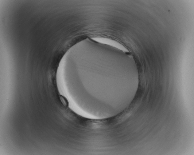 X0000115090229200911241220