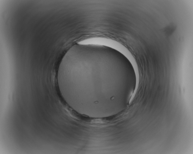 X0000115090231200911241220