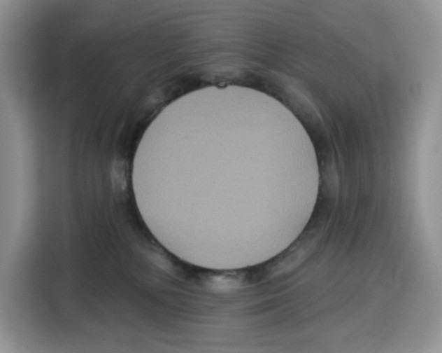 X0000115090232200911241220