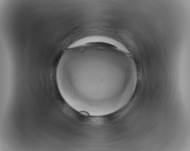X0000115090233200911241220