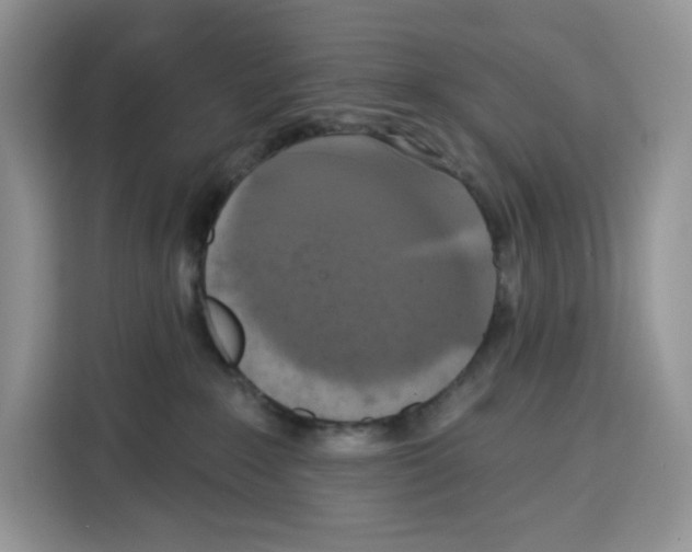 X0000115090235200911241219