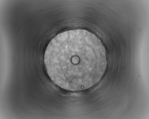X0000115090236200911241219