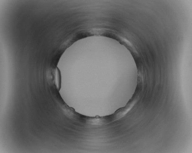 X0000115090237200911241219