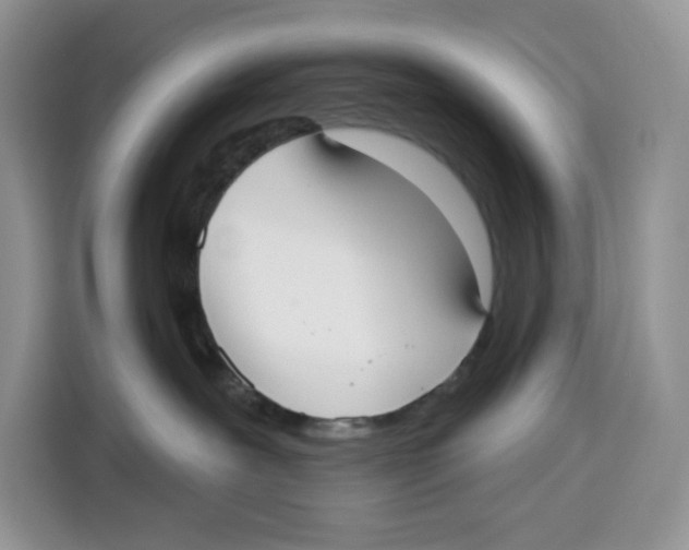 X0000115090239200911241219