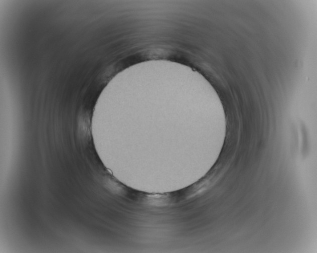 X0000115090240200911241219