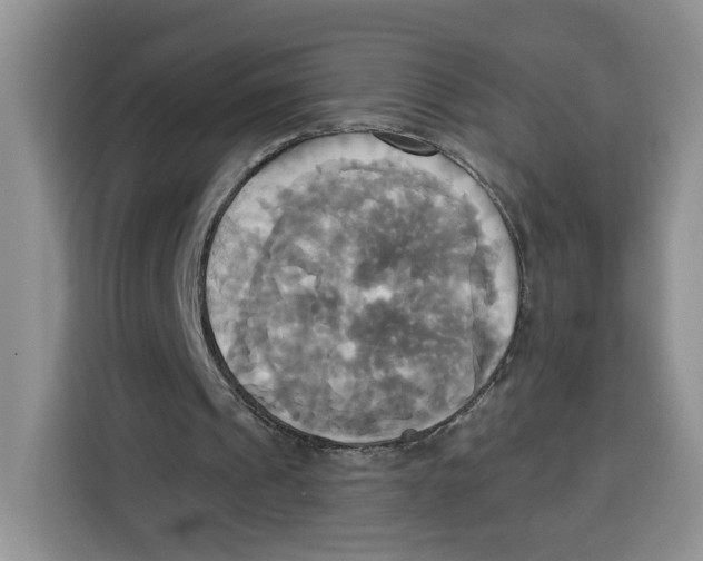 X0000115090241200911241219