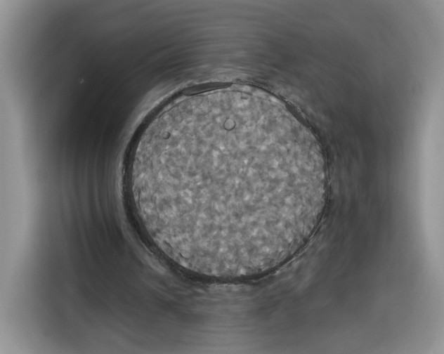 X0000115090242200911241219