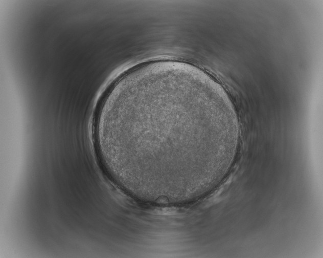 X0000115090244200911241219
