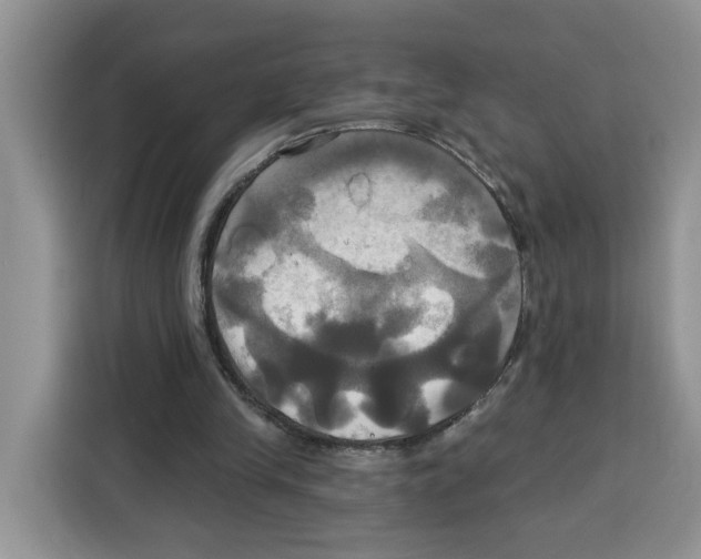 X0000115090245200911241219
