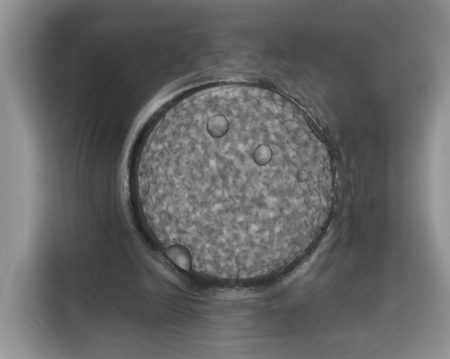 X0000115090246200911241219