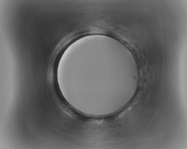X0000115090247200911241219