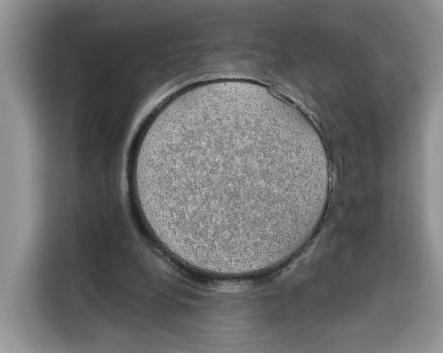 X0000115090248200911241219