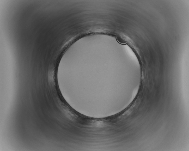 X0000115090249200911241219