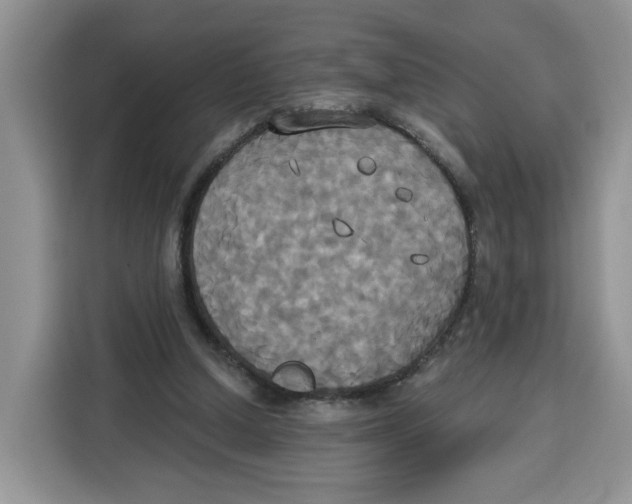 X0000115090250200911241219