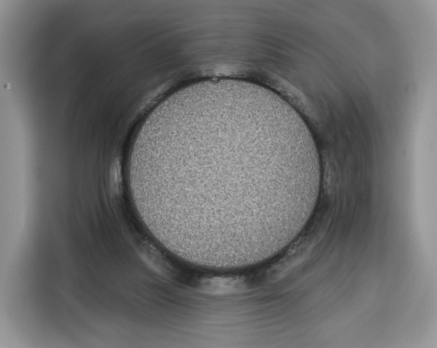 X0000115090251200911241219
