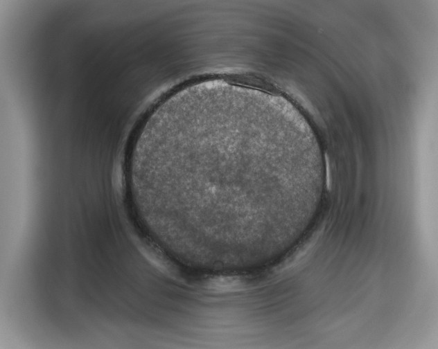 X0000115090252200911241219