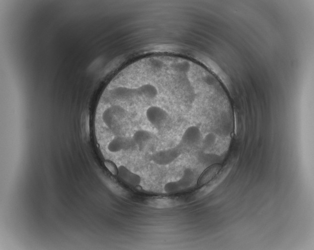 X0000115090253200911241219