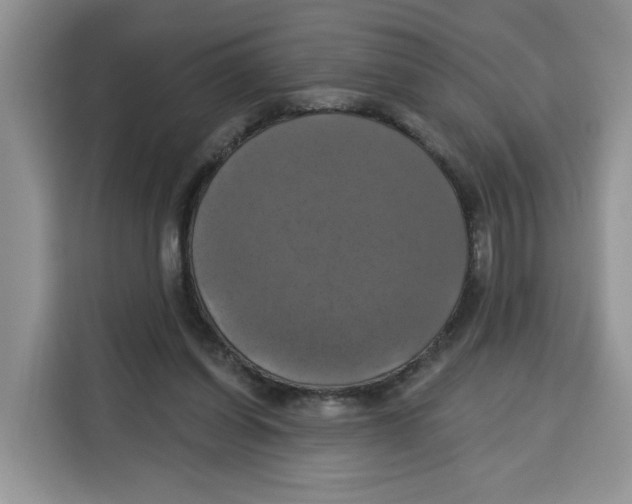 X0000115090254200911241219