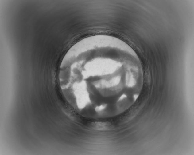 X0000115090255200911241219