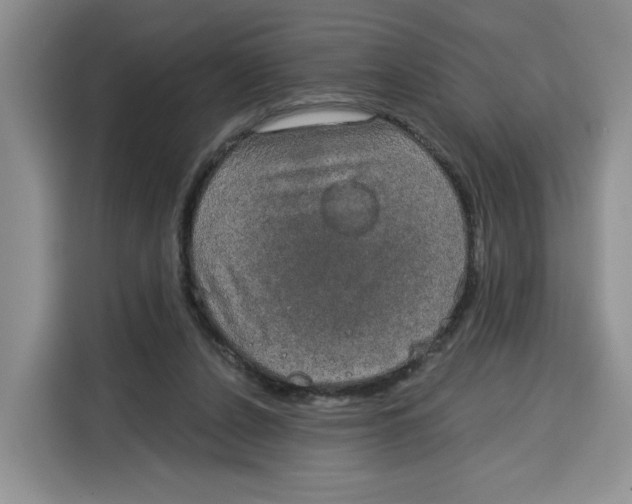 X0000115090256200911241219