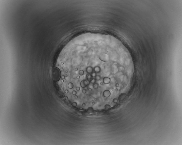X0000115090258200911241219
