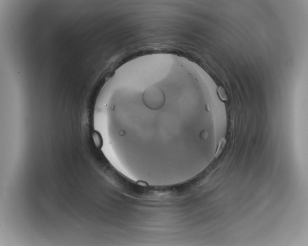 X0000115090260200911241219