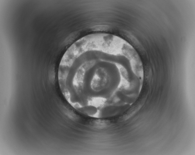 X0000115090261200911241219