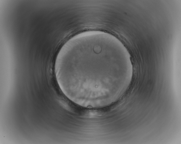 X0000115090264200911241219