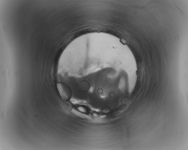 X0000115090266200911241219