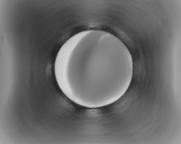 X0000115090269200911241219