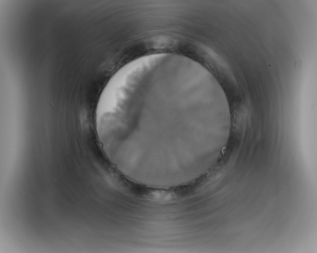 X0000115090272200911241219