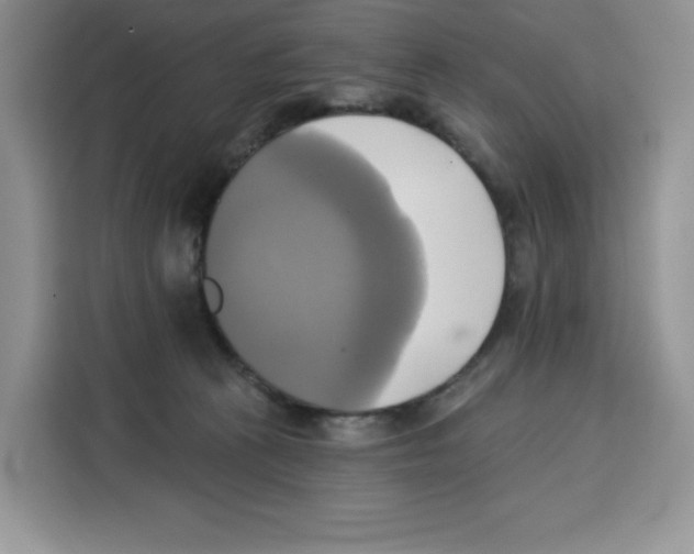 X0000115090273200911241219