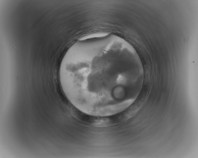 X0000115090274200911241219