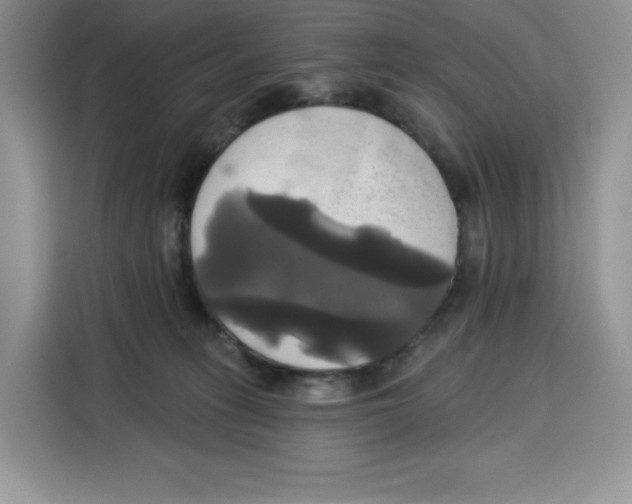 X0000115090275200911241219