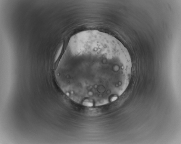 X0000115090277200911241219