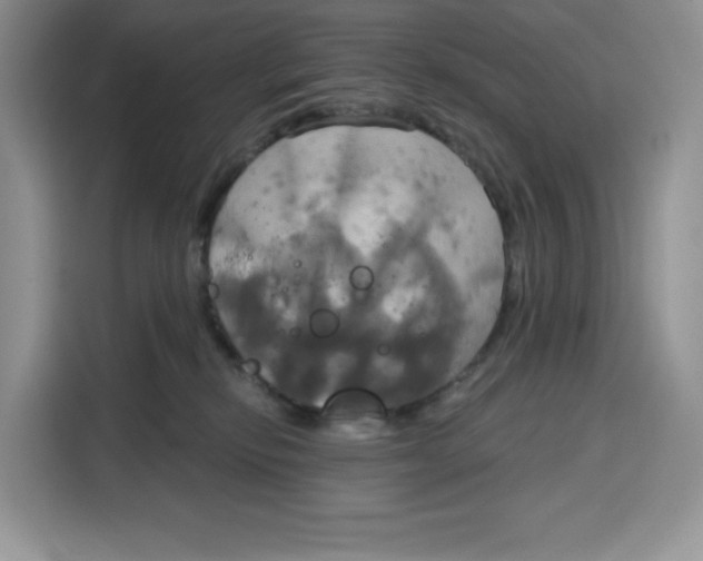 X0000115090278200911241219
