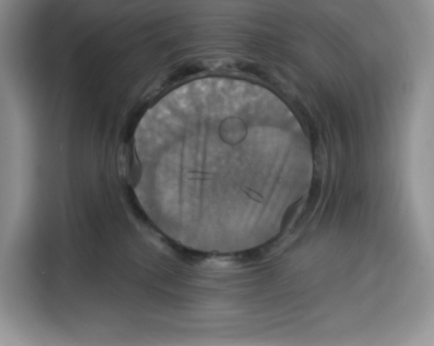 X0000115090280200911241219