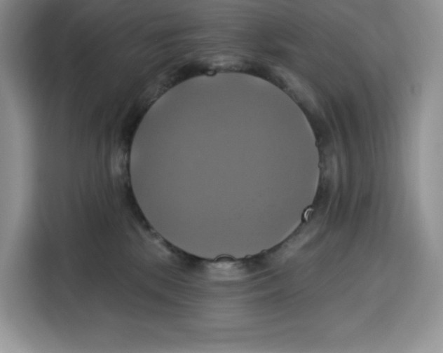 X0000115090281200911241219