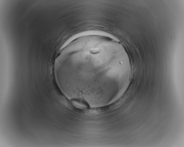 X0000115090282200911241219