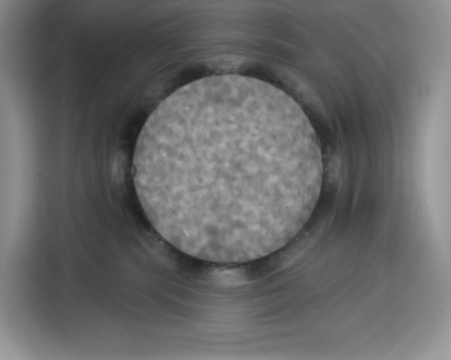X0000115090283200911241219