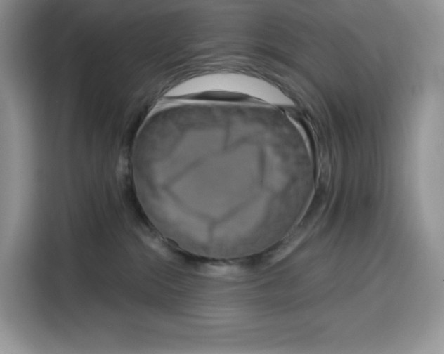 X0000115090284200911241219