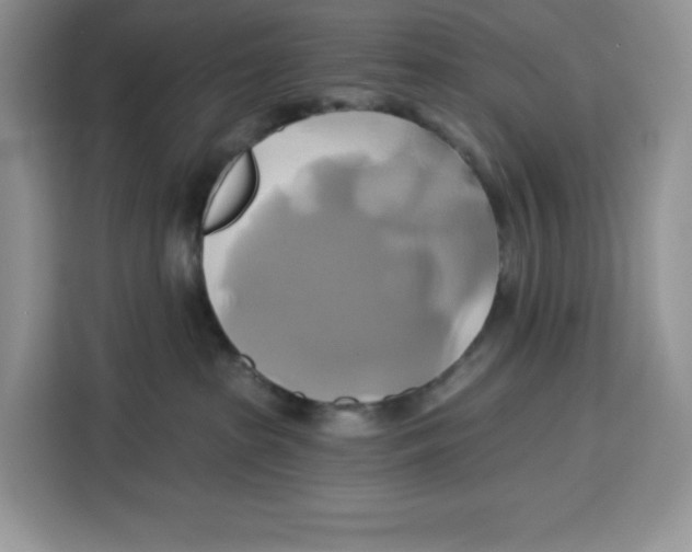 X0000115090285200911241219