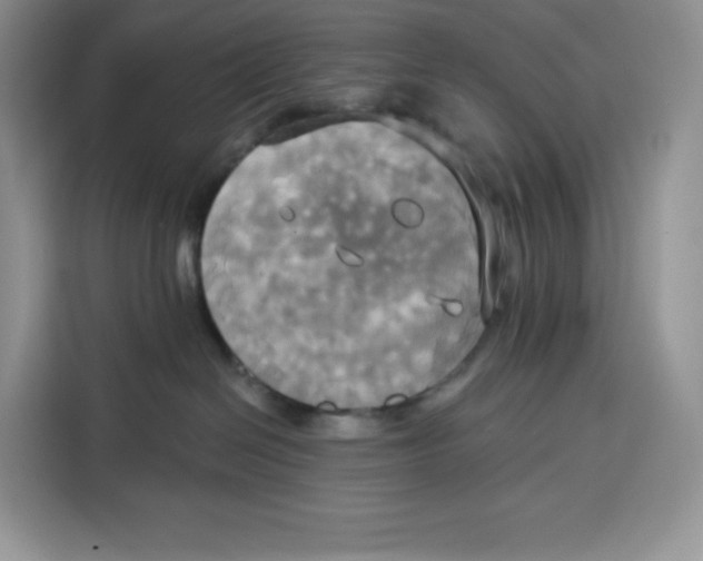 X0000115090286200911241219